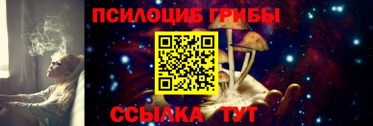Псилоцибиновые грибы Cubensis Мурманск