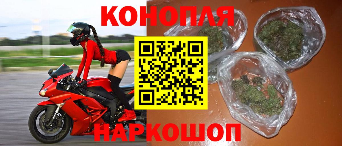 Конопля Bruce Banner Мурманск